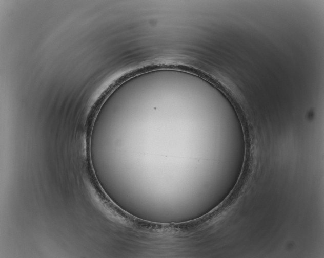 X0000116890934200912291300