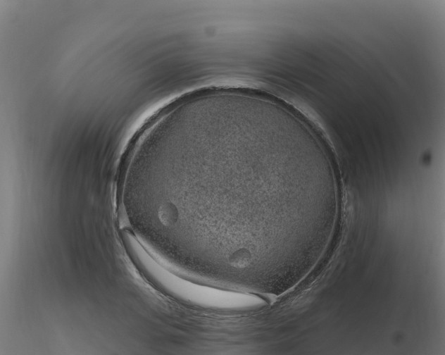 X0000116890935200912291300