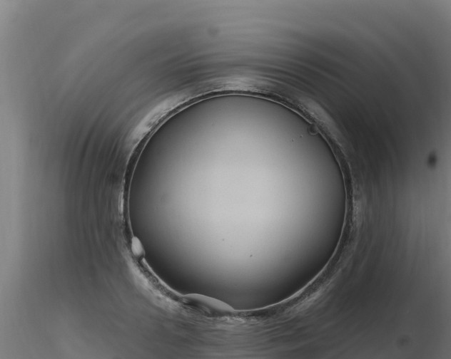 X0000116890938200912291300