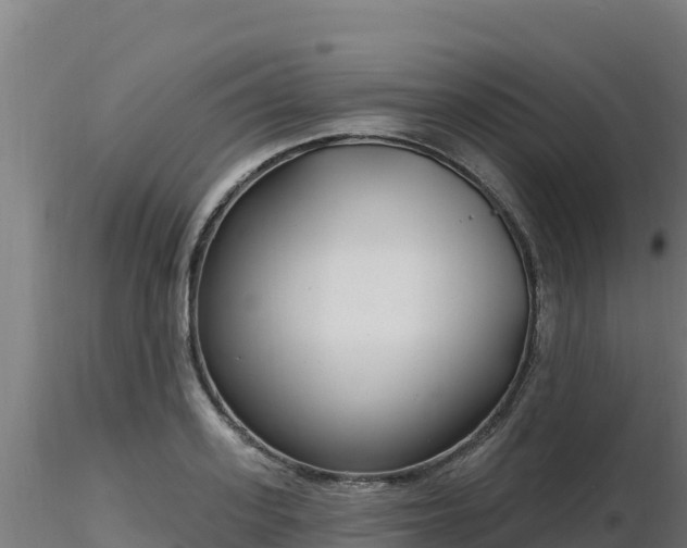 X0000116890939200912291300