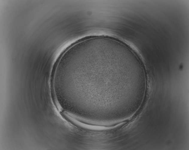 X0000116890943200912291300