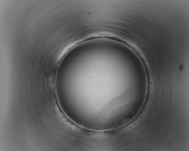 X0000116890945200912291300