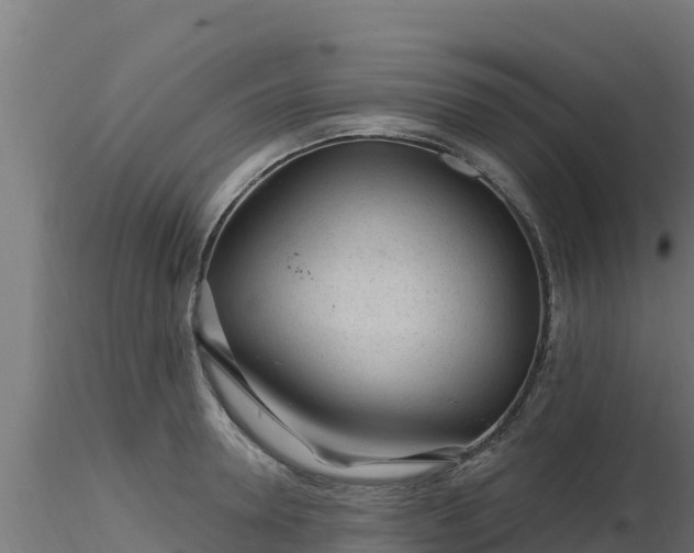 X0000116890946200912291300