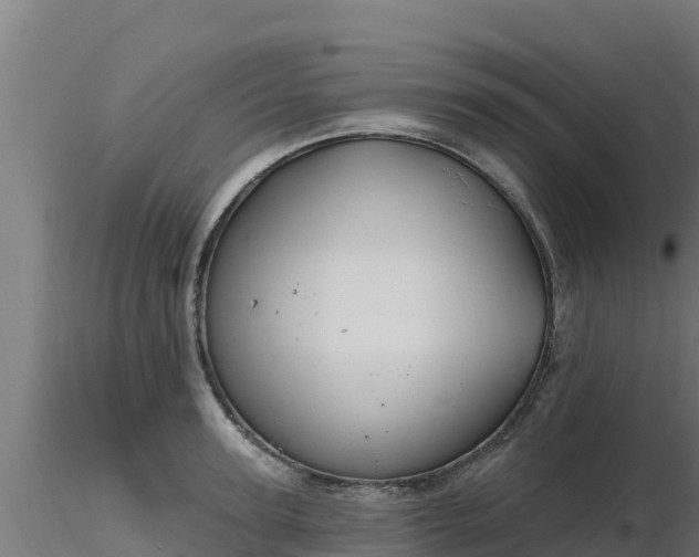 X0000116890947200912291300