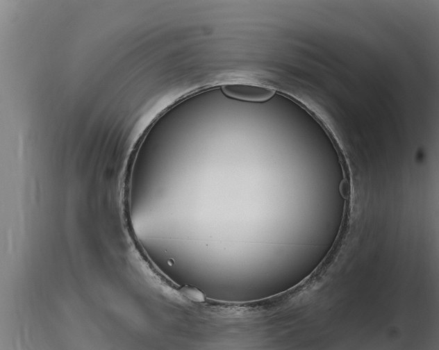 X0000116890949200912291300