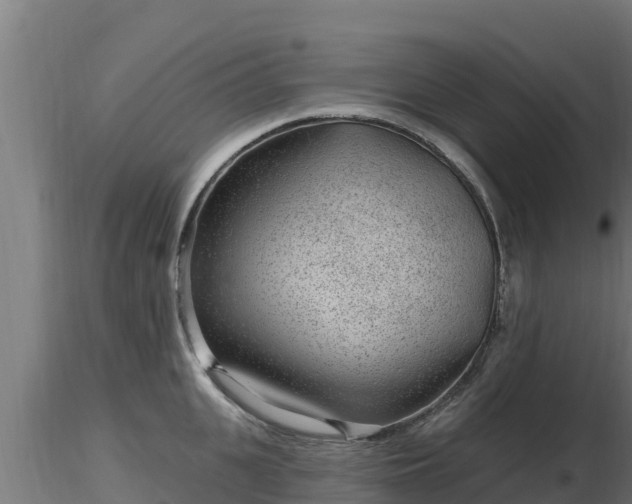 X0000116890951200912291300