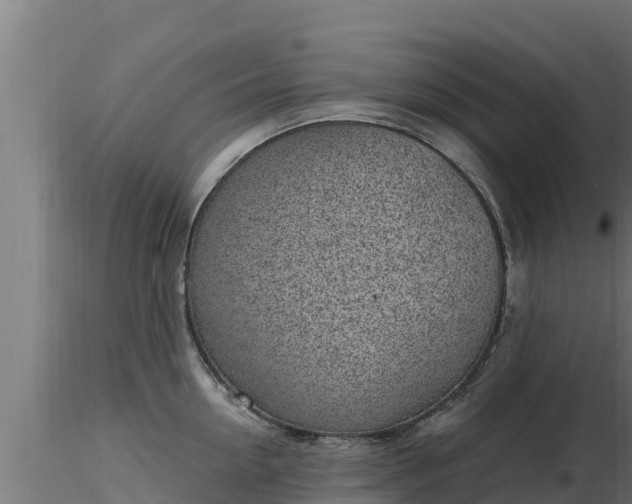 X0000116890954200912291300