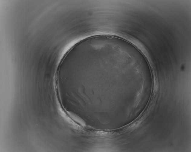 X0000116890958200912291300