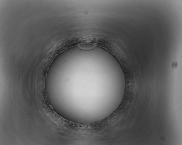 X0000116890961200912291300