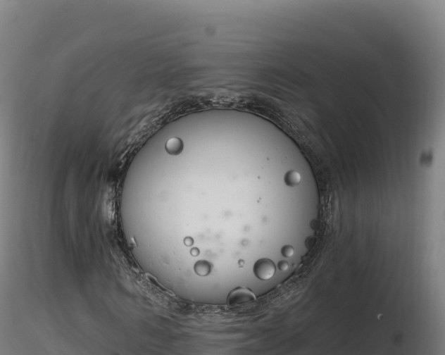X0000116890962200912291300