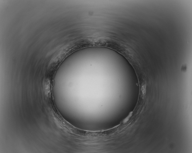 X0000116890963200912291300