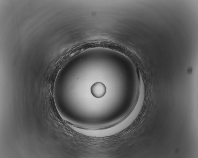 X0000116890965200912291300