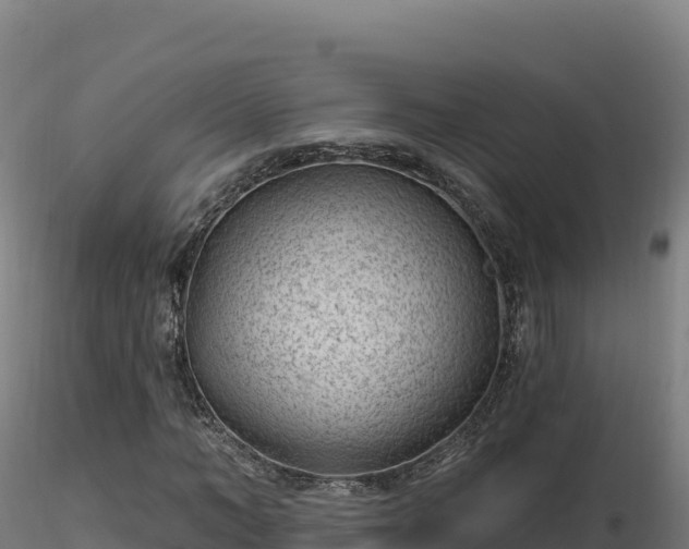 X0000116890966200912291300