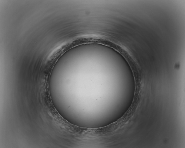 X0000116890967200912291300