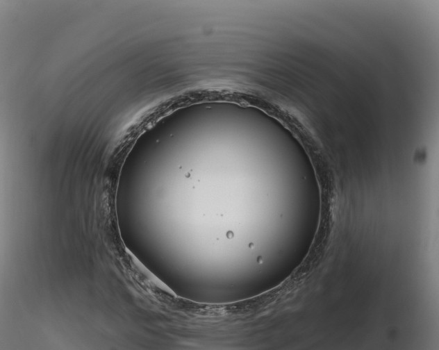 X0000116890968200912291300