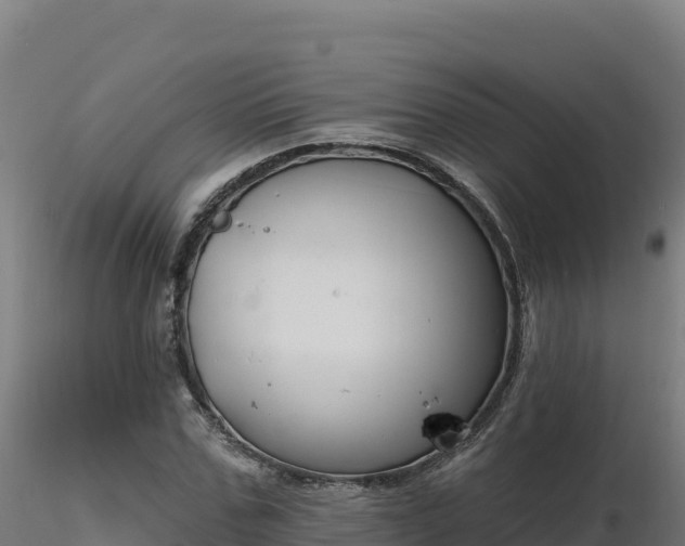 X0000116890971200912291300