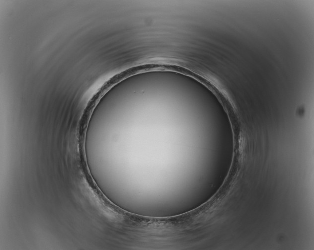 X0000116890972200912291300