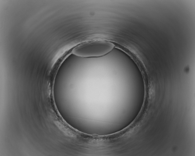 X0000116890973200912291300