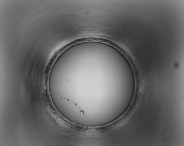 X0000116890974200912291300