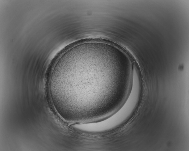 X0000116890975200912291259