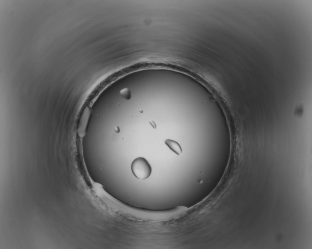 X0000116890976200912291259