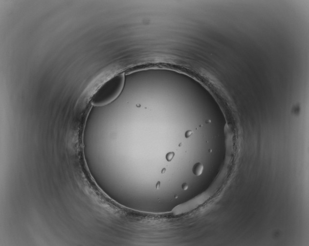 X0000116890977200912291259