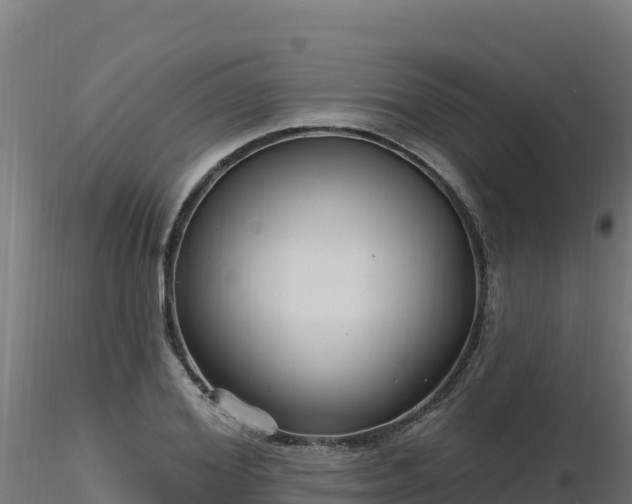 X0000116890980200912291259