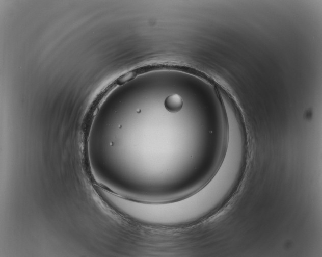 X0000116890981200912291259