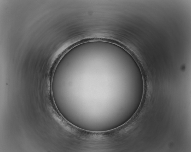 X0000116890982200912291259