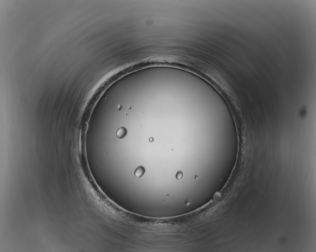 X0000116890984200912291259