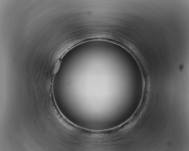 X0000116890985200912291259