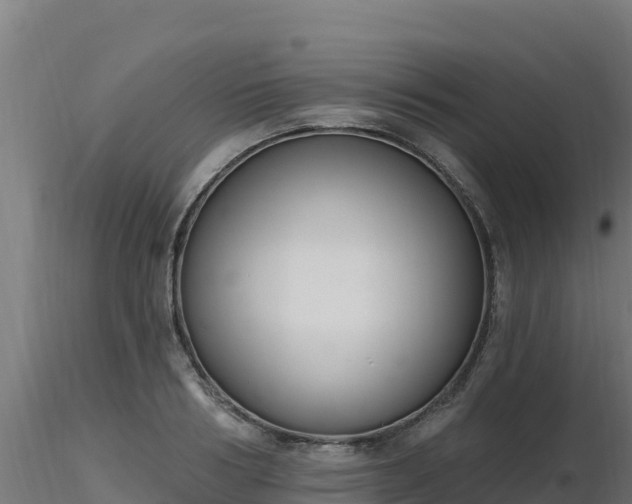 X0000116890986200912291259