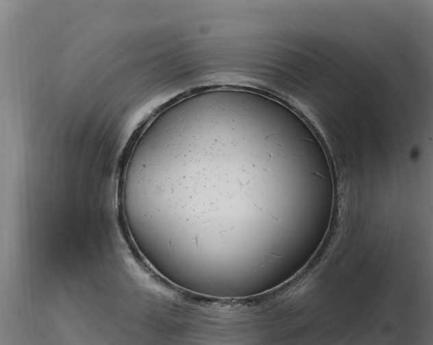 X0000116890987200912291259