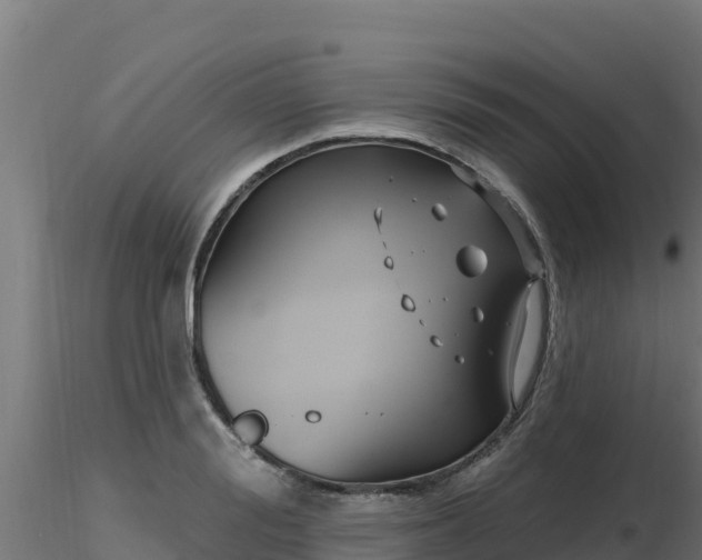X0000116890988200912291259
