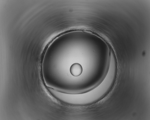 X0000116890989200912291259