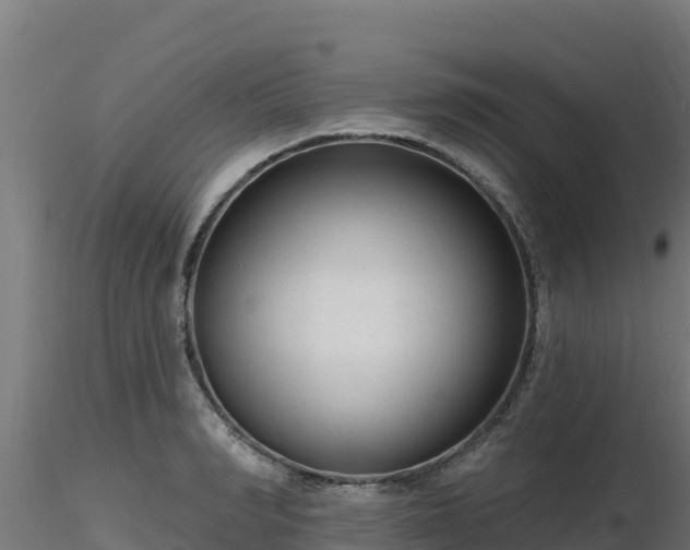 X0000116890990200912291259