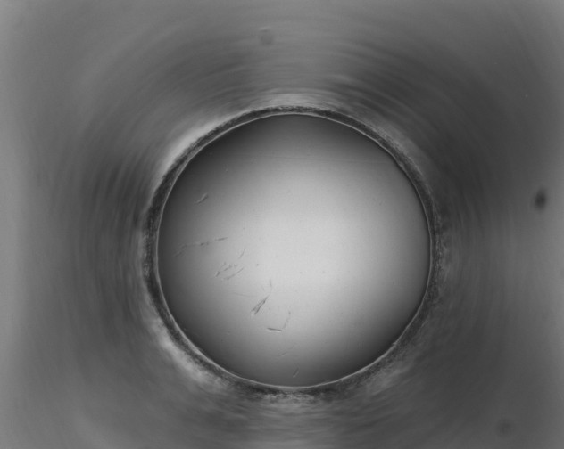 X0000116890991200912291259