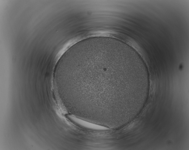 X0000116890994200912291259