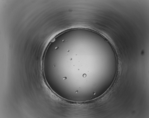 X0000116890996200912291259