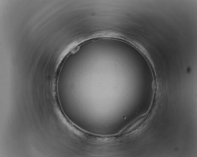 X0000116890997200912291259
