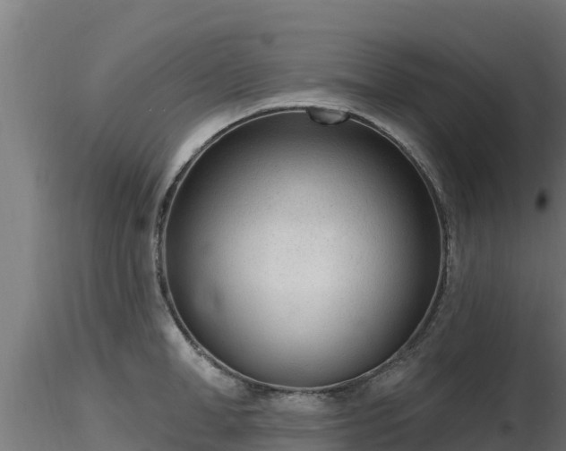 X0000116890998200912291259