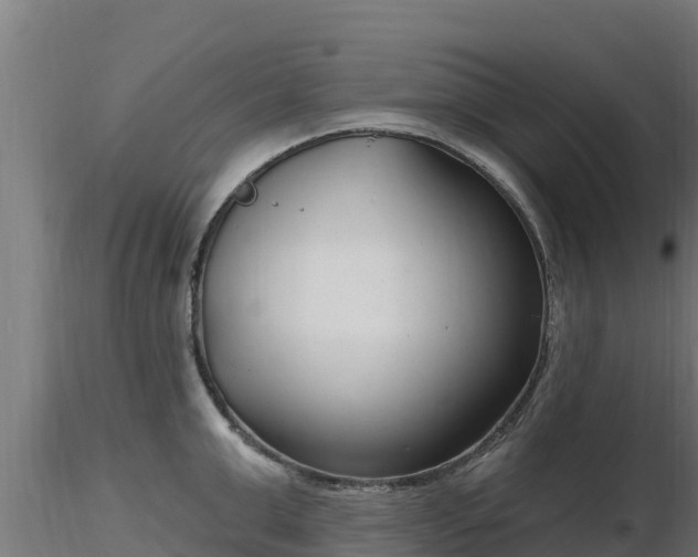 X0000116890999200912291259