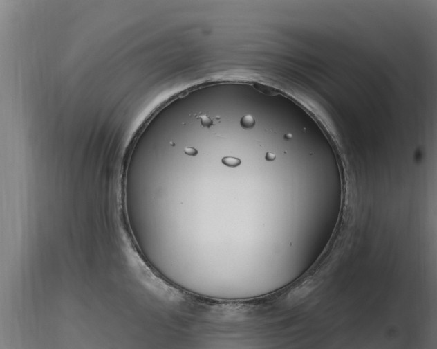 X0000116891000200912291259