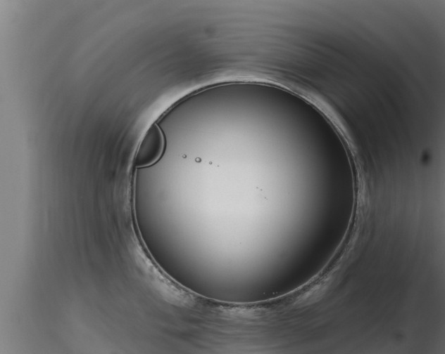 X0000116891004200912291259