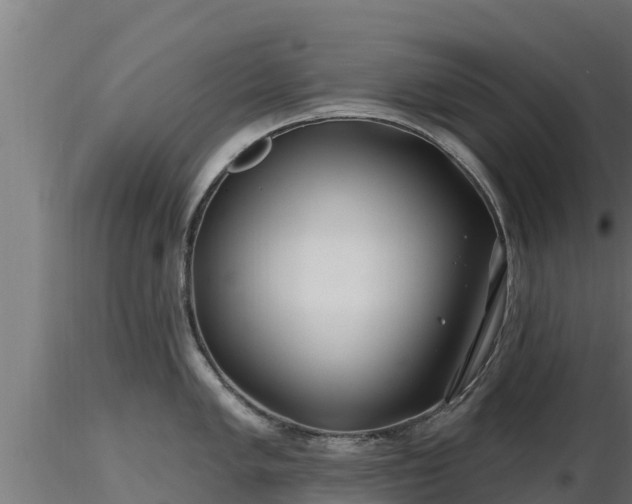 X0000116891005200912291259