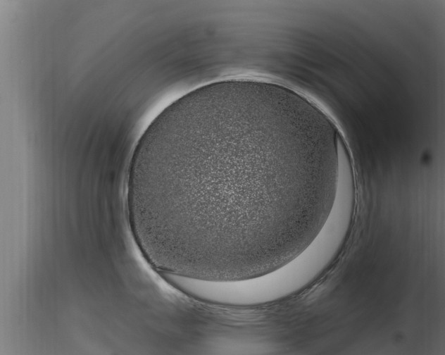 X0000116891007200912291259