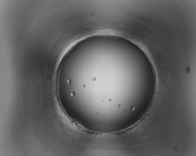 X0000116891008200912291259