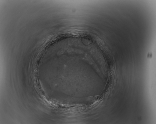 X0000116891009200912291258