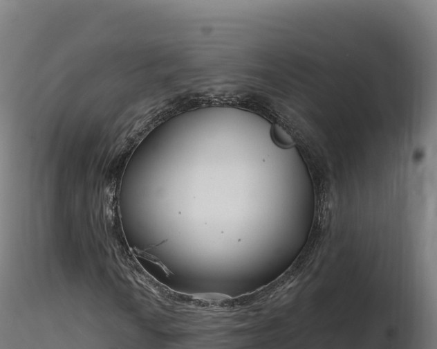X0000116891010200912291258