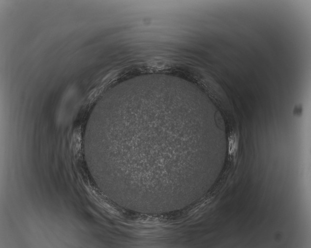 X0000116891011200912291258